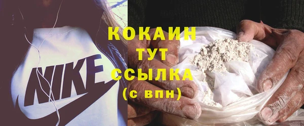 PSILOCYBIN Горняк