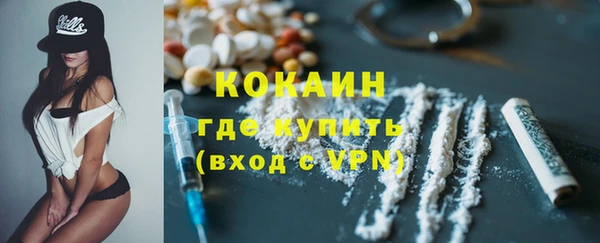 PSILOCYBIN Горняк