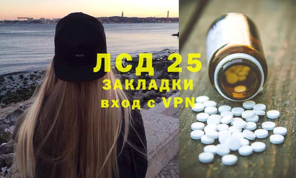 PSILOCYBIN Горняк