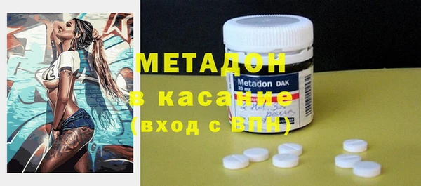 PSILOCYBIN Горняк